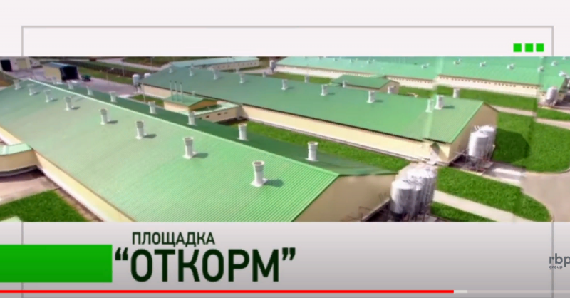  «Дело о зарытых свиньях»: «РСХБ-Страхование» отбило большую часть иска на миллиард рублей