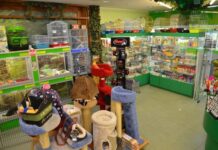 Как правильно открыть зоомагазин в Украине